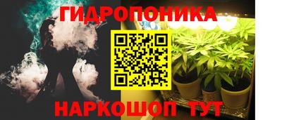 ПСИЛОЦИБИНОВЫЕ ГРИБЫ Свободный